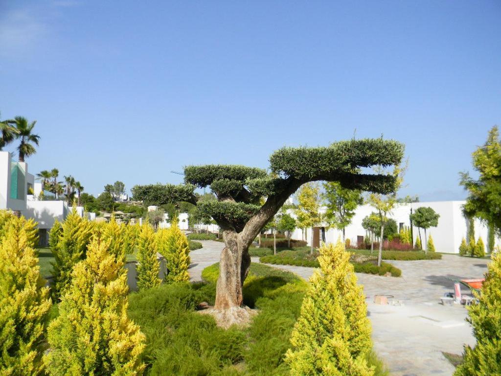 Limonero 17, Golf Club In Las Colinas Dehesa de Campoamor  ภายนอก รูปภาพ